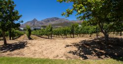 Nieuwe Steenberg Estate Luxury Lock-Up Living